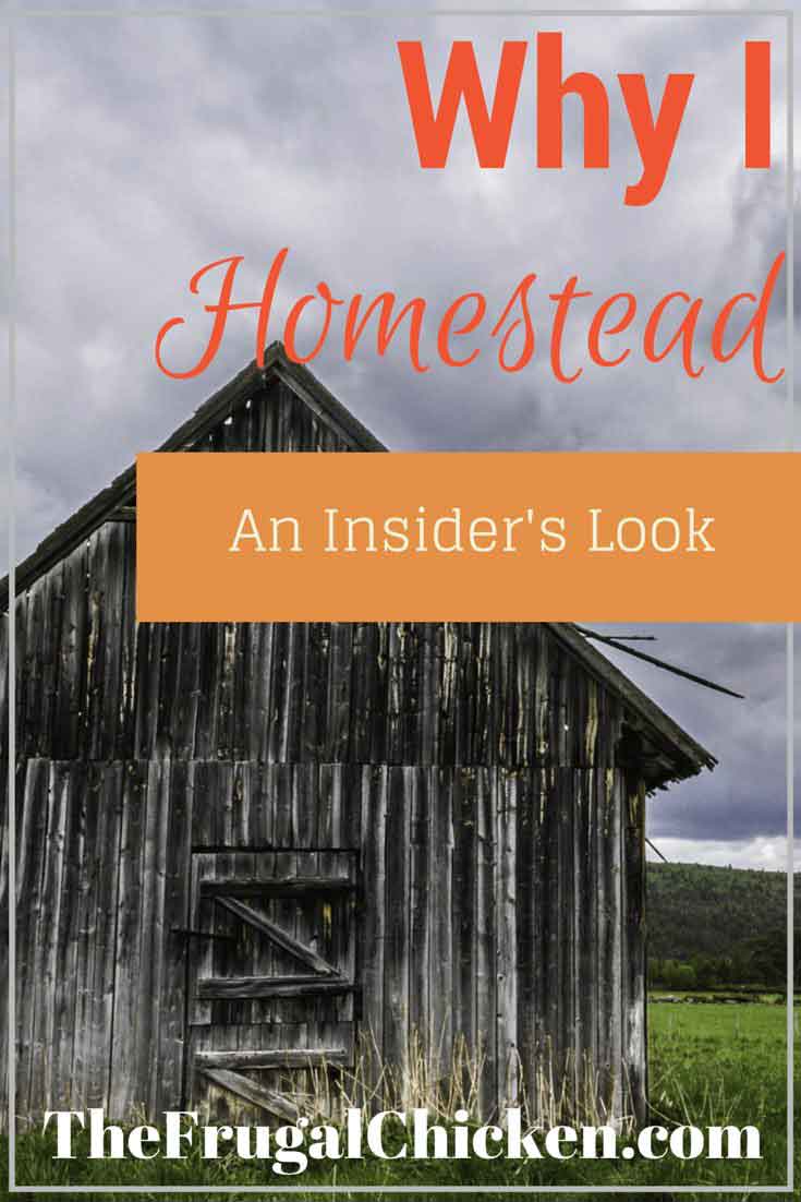 Why I homestead