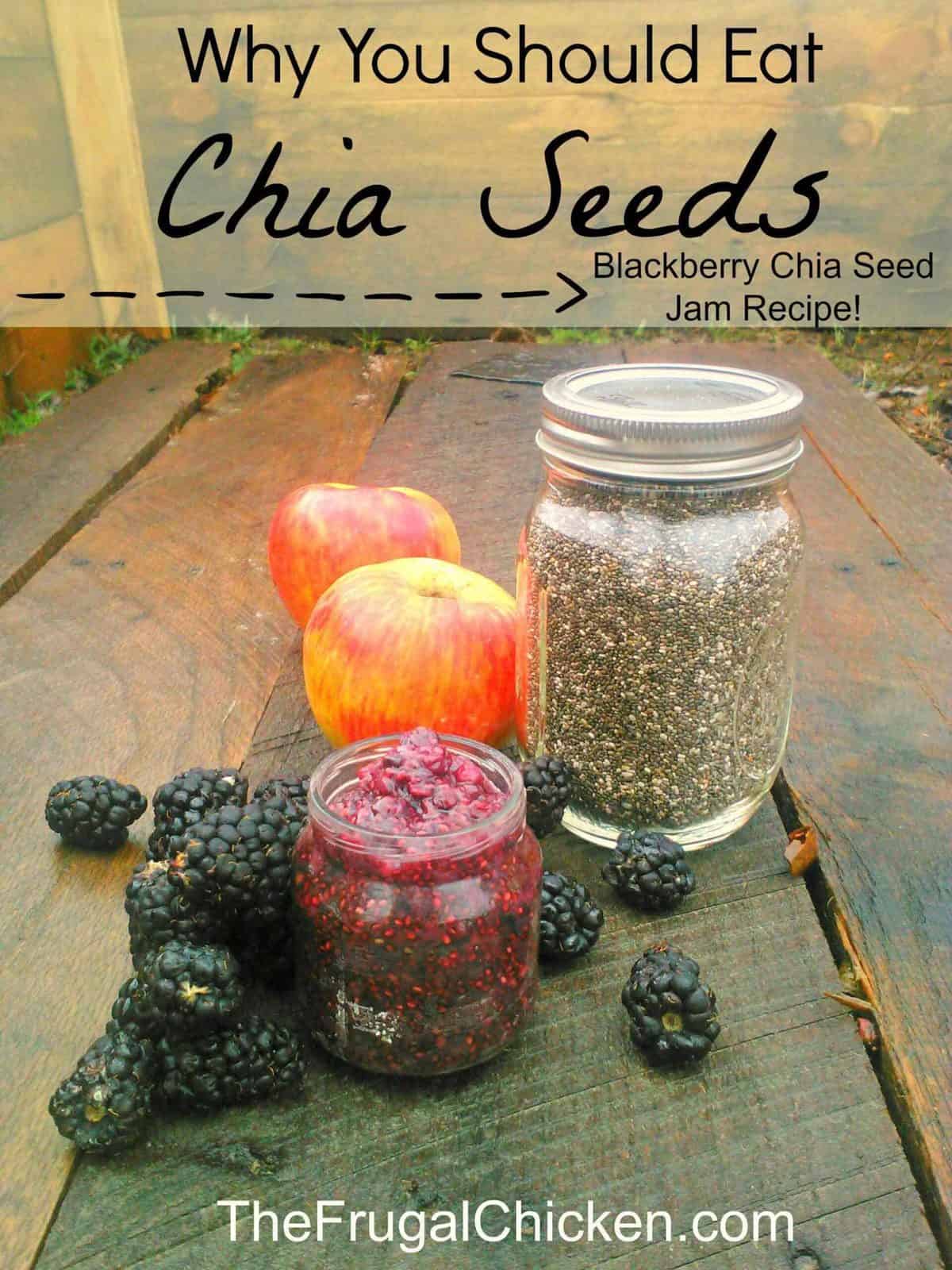 Nutritional Benefits of Chia Seeds – Including Blackberry Chia Seed Jam Recipe
