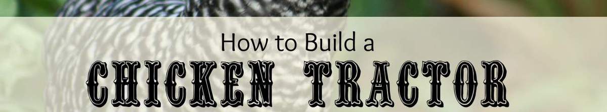 Make your own DIY chicken tractor using these plans and pallet wood. Easy step-by-step plans. From FrugalChicken