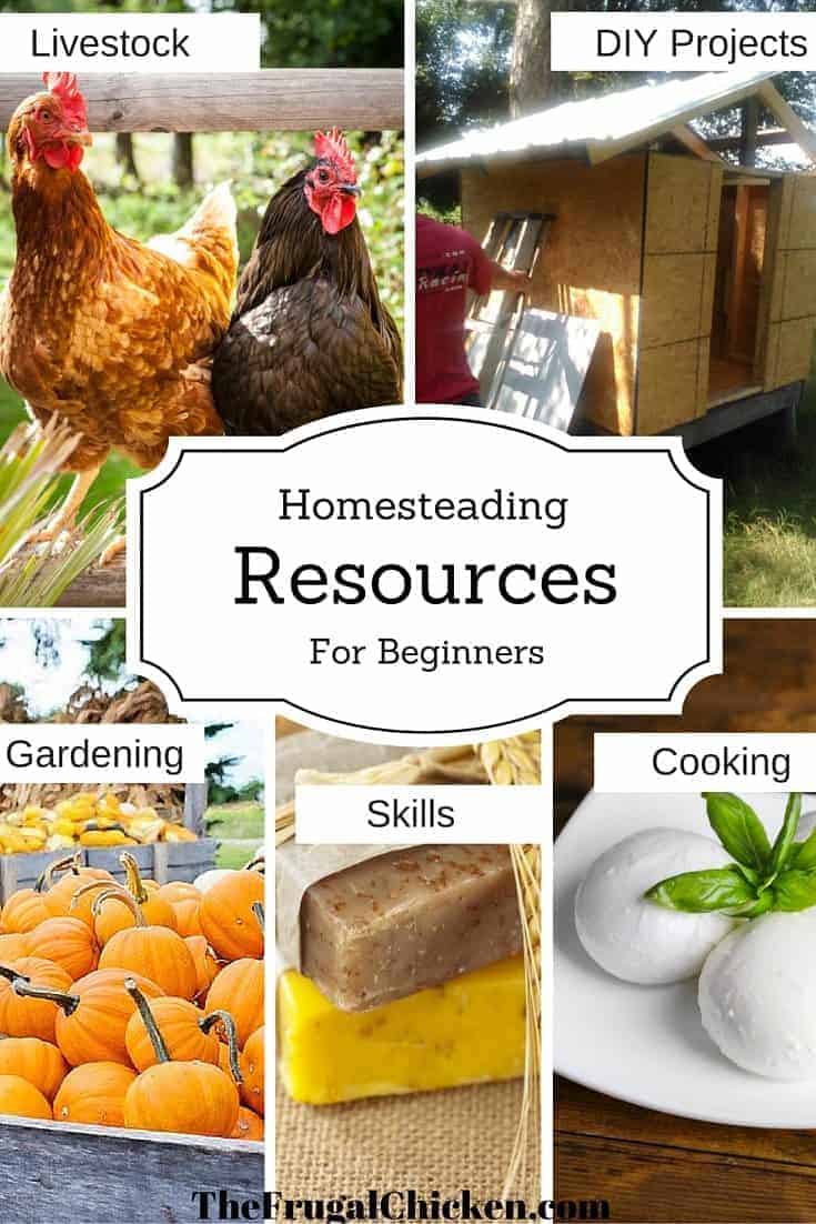 Homesteading Resources For Beginners