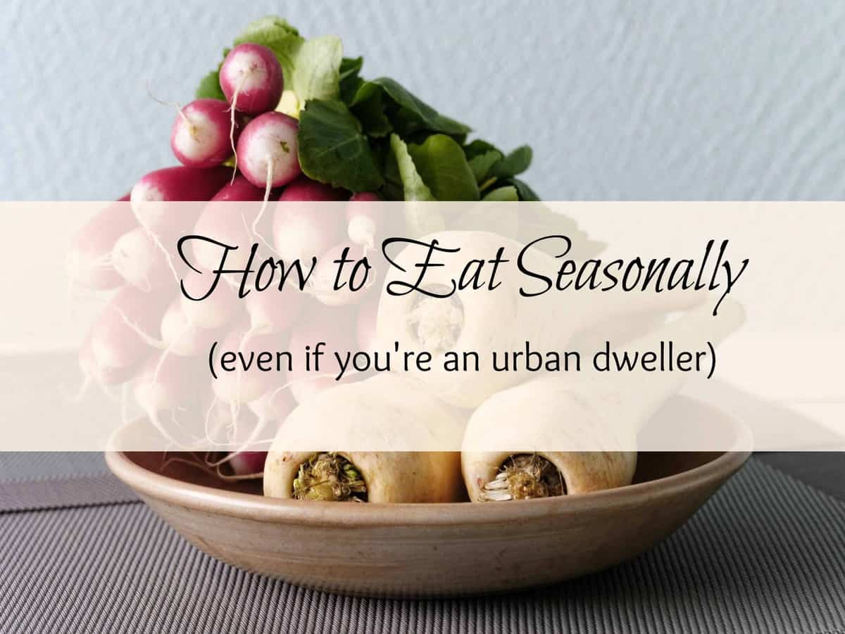 How to Eat Seasonally (Even if You’re an Urban Dweller) – Printable Recipes!
