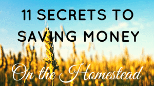 save money on the homestead