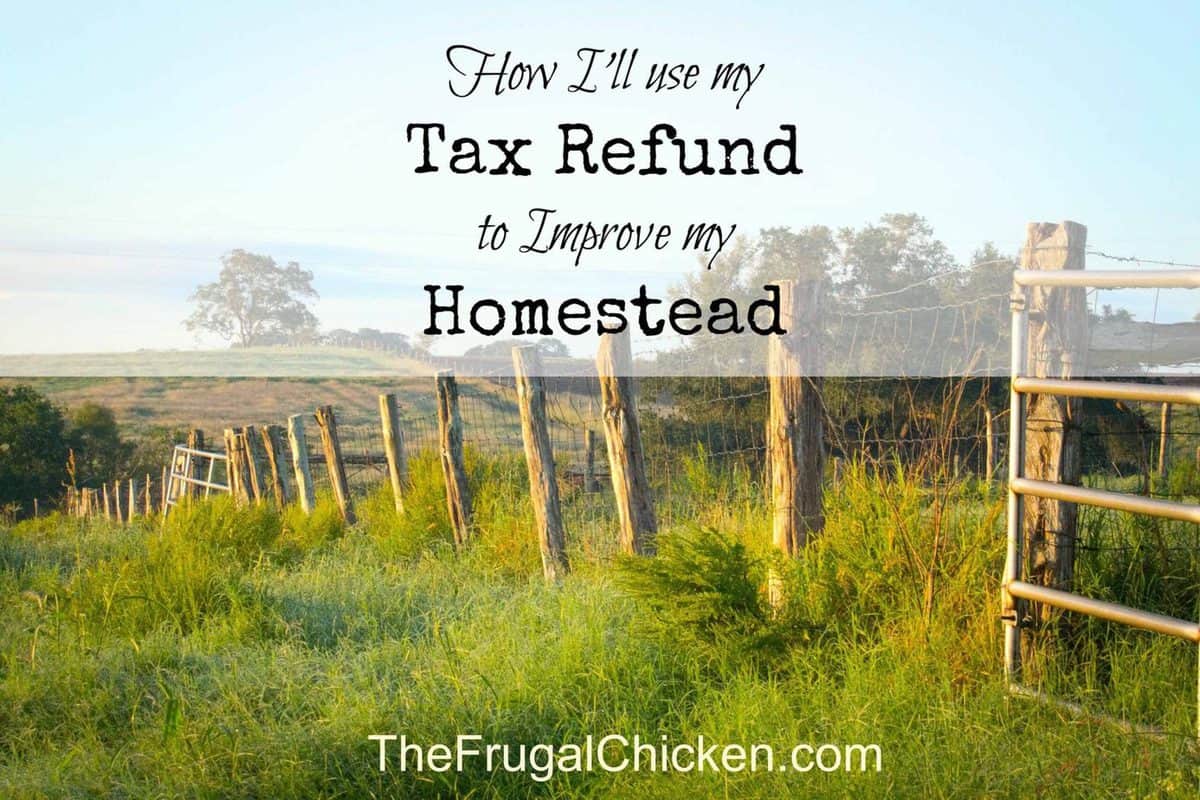 How I’ll Spend My Refund to Improve My Homestead: Refining Your Skills