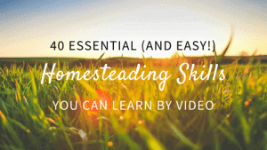 Easy Homesteading Skills