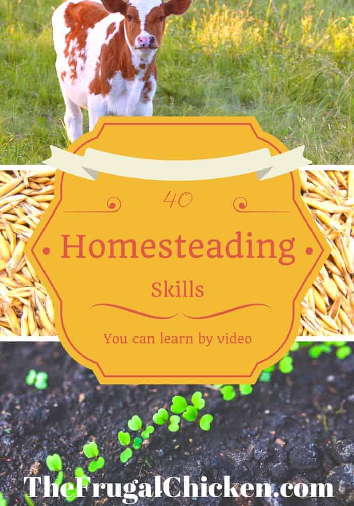 40 Essential Homestead Items for Beginners - Homestead Survival Site