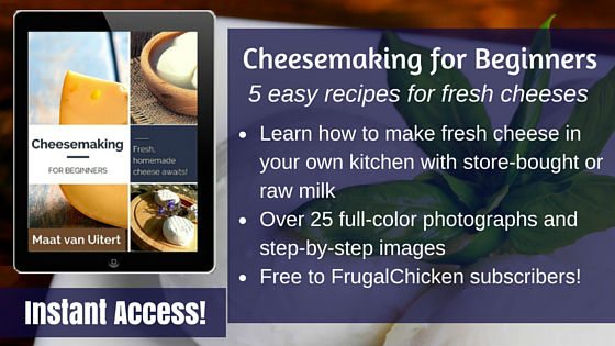 Cheesemaking for Beginners ad