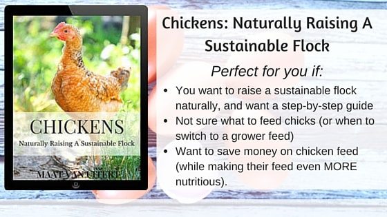 Chickens- Naturally Raising A Sustainable Flock AD (2)-min