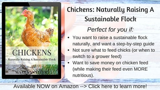 Check out https://thefrugalchicken.com/chickenbook for my latest book!