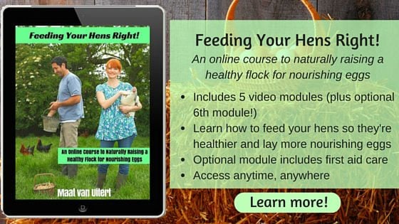Feeding Your Hens Right! ad