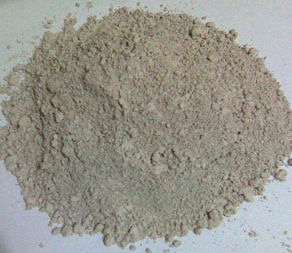 diatomaceous_earth