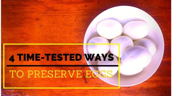 4 Time Tested Techniques To Preserve Eggs (And Some 19th Century Methods!)