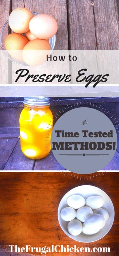 Have too many eggs to eat? Want to preserve them for winter but not sure how? Here's 4 time tested, surefire ways to preserve eggs, complete with directions. From FrugalChicken