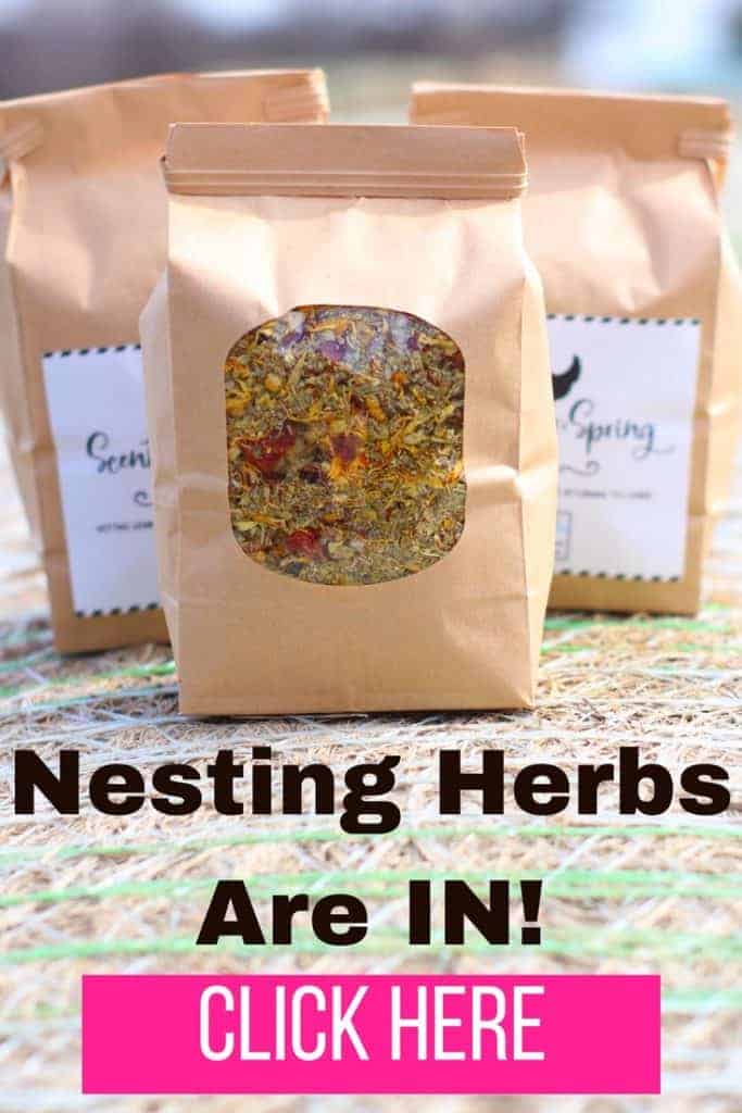 Nesting Herbs Are IN 683x1024