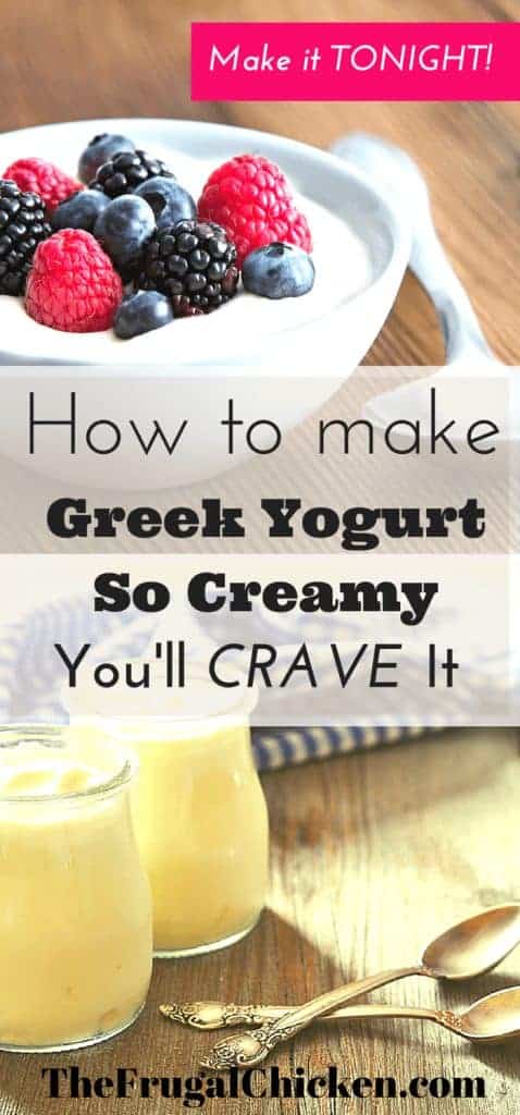 Here's a healthy but indulgent yogurt you can make tonight. All you need is milk, cream, and a couple extra ingredients, and you can have creamy, homemade greek style yogurt for breakfast! From FrugalChicken