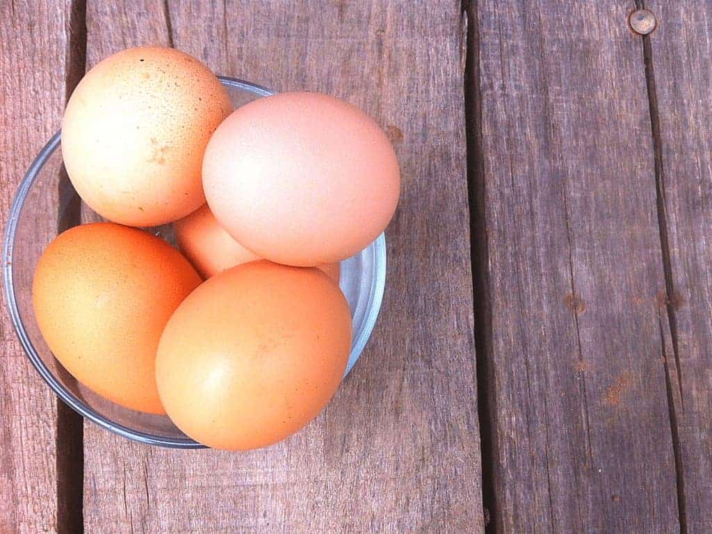 Have too many eggs to eat? Want to preserve them for winter but not sure how? Here's 4 time tested, surefire ways to preserve eggs, complete with directions. From FrugalChicken