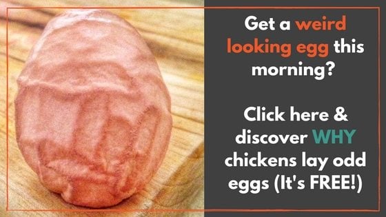 Abnormal Eggs