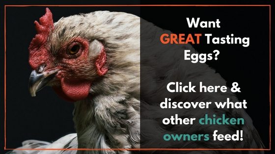 Great Tasting Eggs