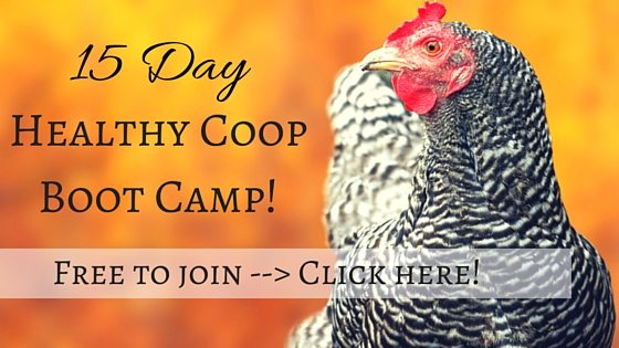 healthy coop boot camp webpage optin (1)