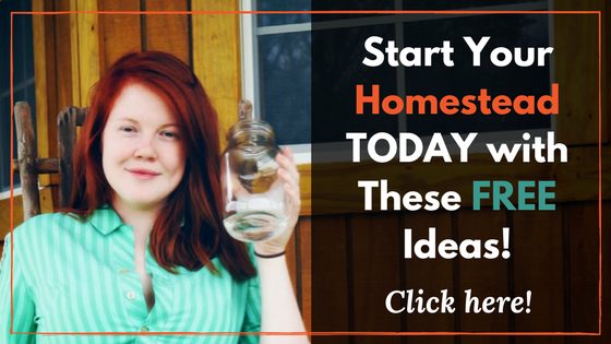 Start Your Homestead Today