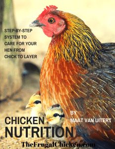 Chicken Nutrition: Feeding Your Hens From Chick To Layer From FrugalChicken