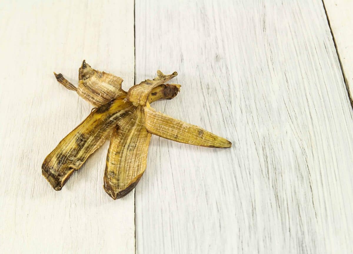 10 Ways To Use Banana Peels In Your Garden As Fertilizer