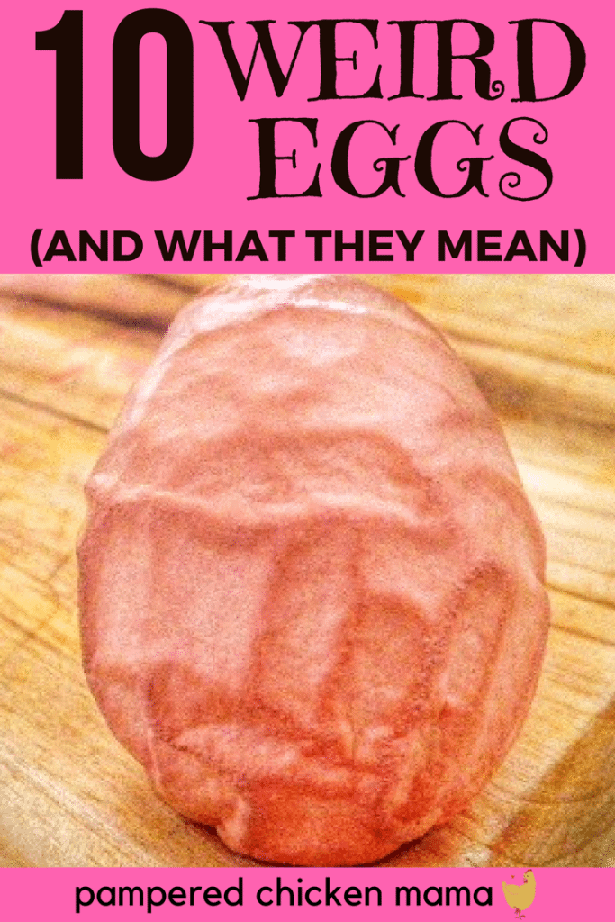 Got weird looking, wrinkled, or abnormal backyard chicken eggs? Here's what your hens are trying to tell you!