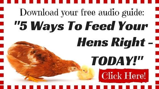 Download your free audio guide