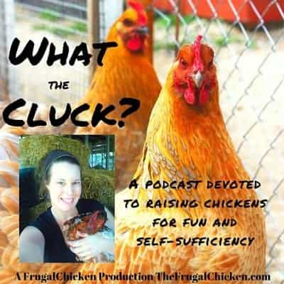 Want to keep your chickens laying through the winter? In this podcast, you'll learn 5 things to do today to keep your chickens laying, as well as mistakes to avoid. From FrugalChicken