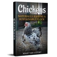 Chickens Naturally Raising A Sustainable Flock