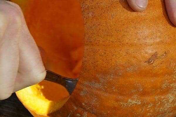 Grab some pumpkin and let's make pumpkin puree! It's a versatile pantry staple, and I've even thrown in a pumpkin spice recipe to get you started. From FrugalChicken