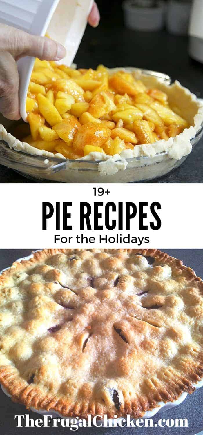Looking for just the right pie recipe ? Here's 19 classic and not so classic pie recipes! From FrugalChicken