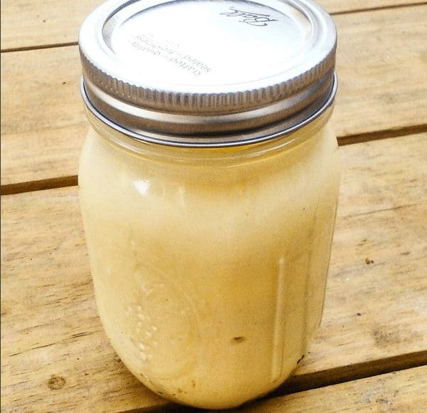 probiotic mayonnaise in jar