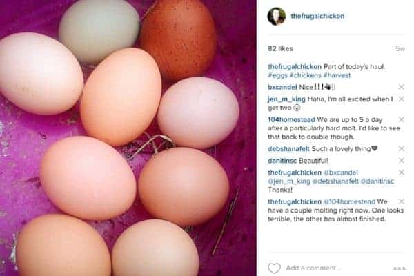 different colored eggs instagram