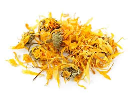 herbs for hens calendula