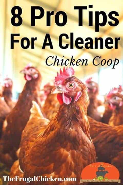 Clean A Coop