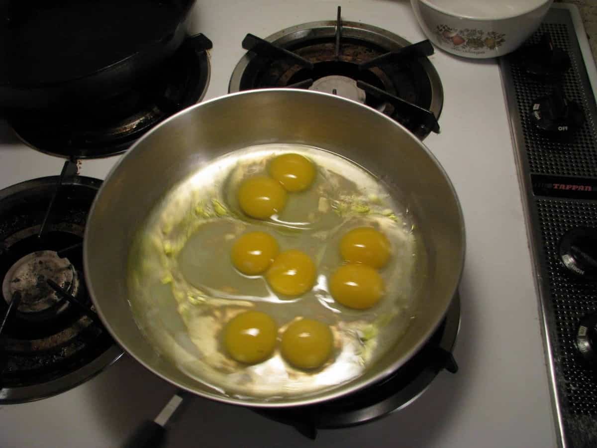 We get more than our fair share of double yolk eggs on our homestead. Here's why they happen and why they're not such a big deal!
