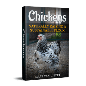 Chickens: Naturally Raising A Sustainable Flock