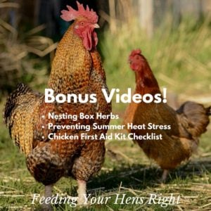 FYHR Bonus videos-min