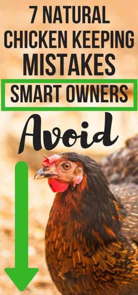 Chicken Keeping Mistakes 478x1024