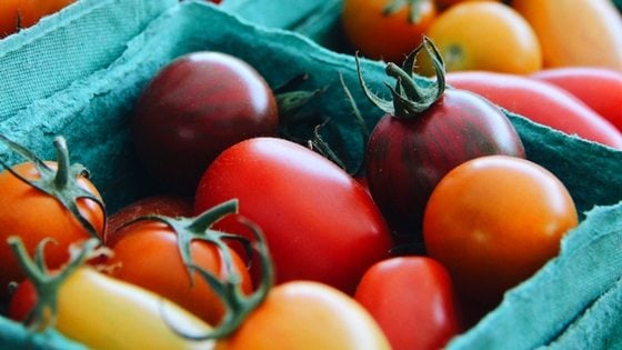 5 Easy Vegetables You Can Grow to Save on Your Groceries