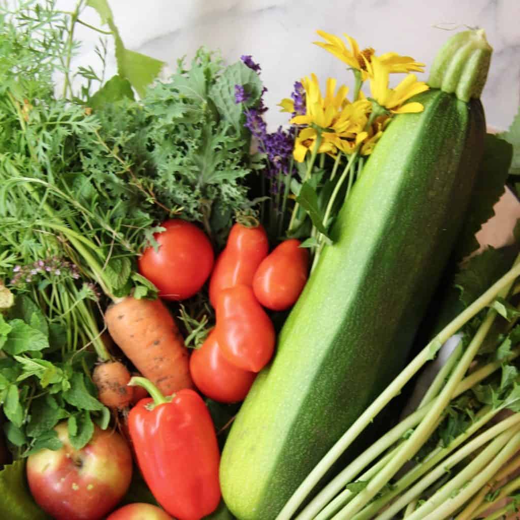 5 vegetables you can grow to save money on groceries