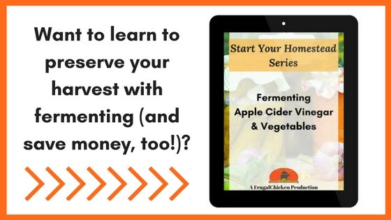 Want To Learn To Preserve Your Harvest With Fermenting And Save Money Too 