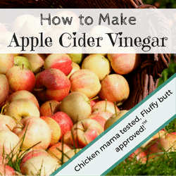 Apple Cider Vinegar