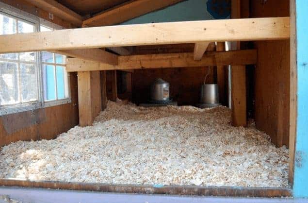 Does The Deep Litter Method For Chicken Coops Work Pampered