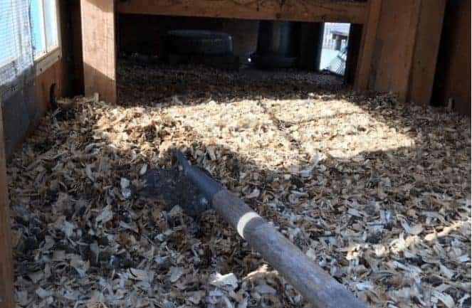 deep litter method for chicken coops