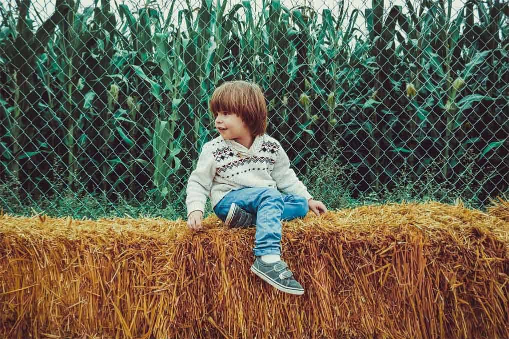 Real Homesteader Stories Episode 1