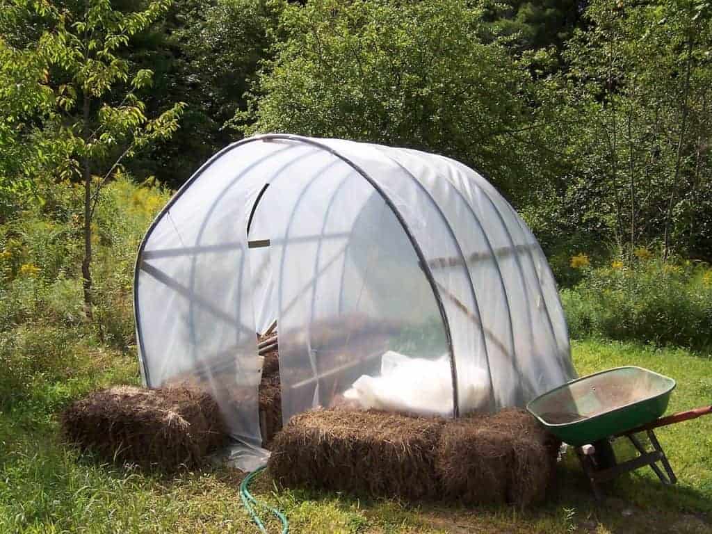 Use Hay Bale Gardening For A Bigger Harvest!