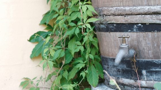 Rain Barrels: How To Choose, Install & Use Them For Off-Grid Water