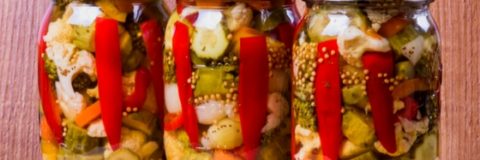 101 Delicious Pickle Recipes You Can Make Practically For Free