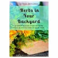 Herbs in Your Backyard